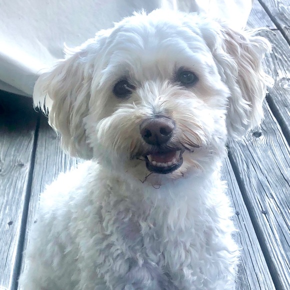 Enjoy Momma’s Closet? We ❤️ that you came by❣️ - Picture 1 of 8